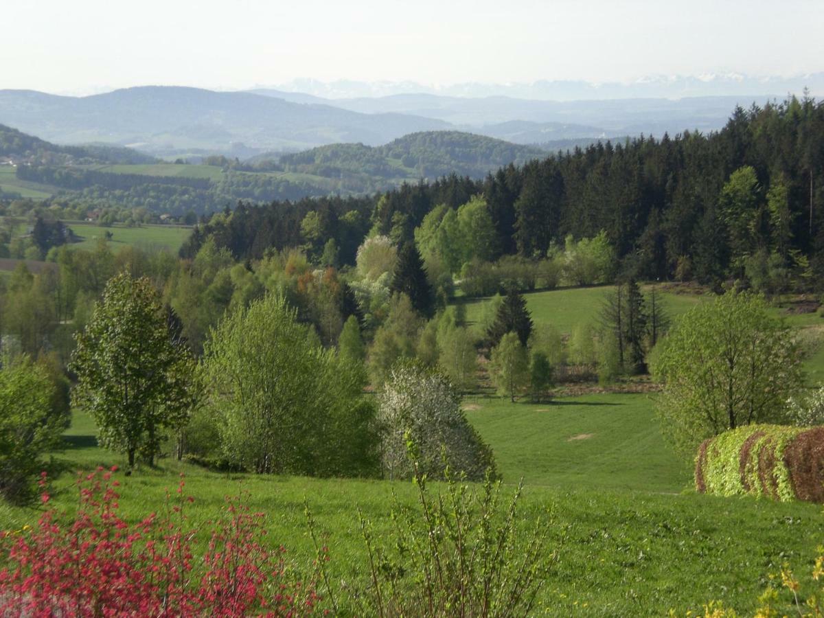 Ferienwohnungen Pichler Hohenau ภายนอก รูปภาพ