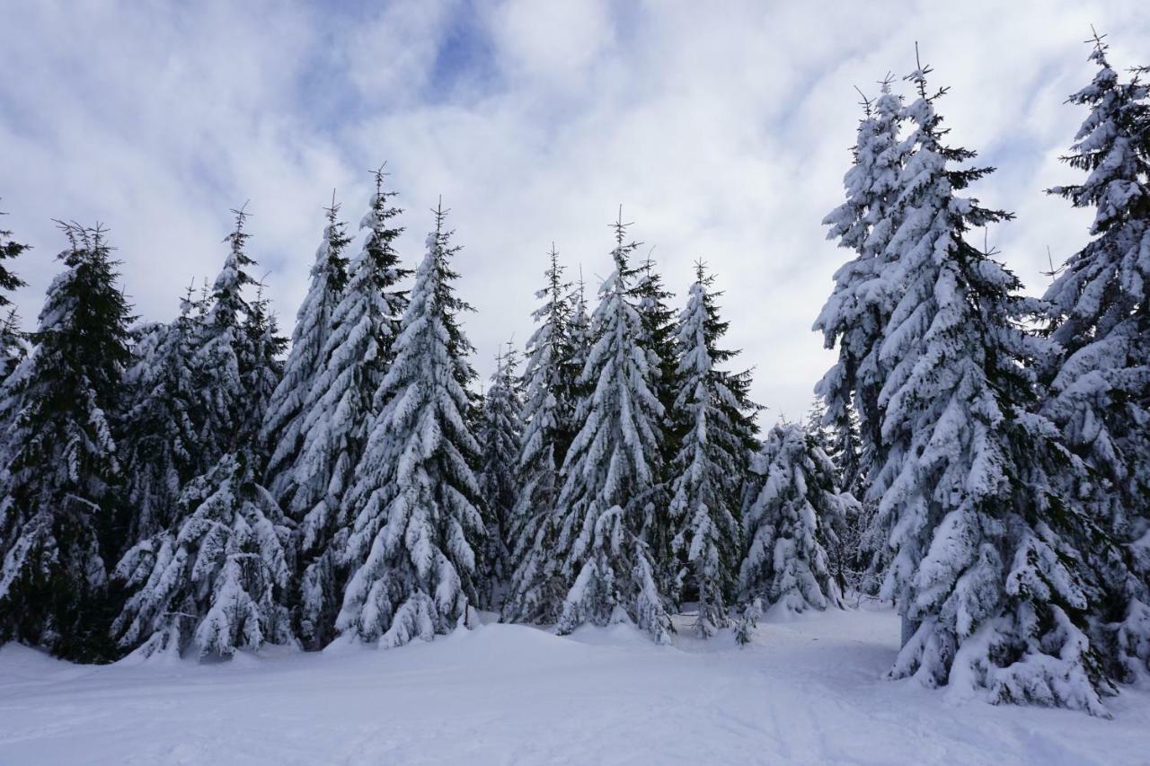 Ferienwohnungen Pichler Hohenau ภายนอก รูปภาพ